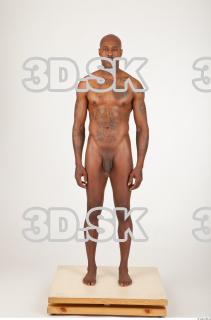 Body texture of Virgil 0022